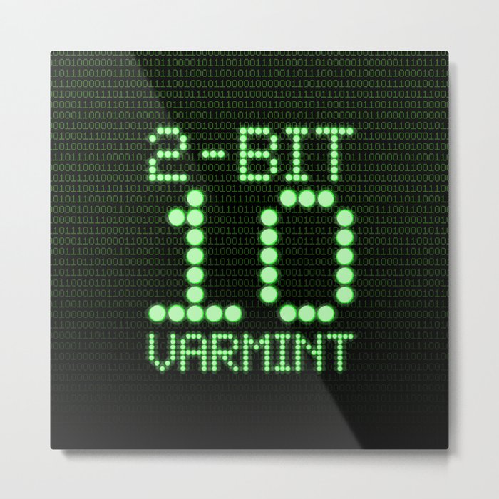 2-Bit Varmint / Binary vermin team code Metal Print