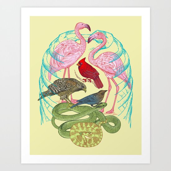 Wild Anatomy II Art Print