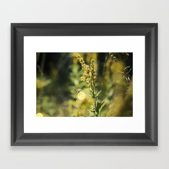 Mountain Meadows 02 Framed Art Print