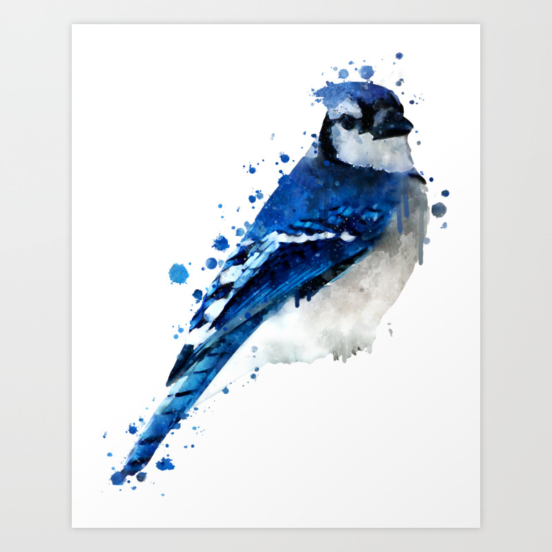 Watercolor Blue Jay Bird Art Print By Dramabite Society6