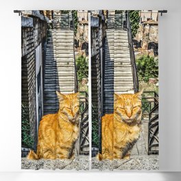 Argentina Photography - Beautiful Orange Cat Standing At The Stone Stairs Blackout Curtain