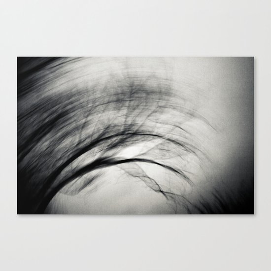 im sturm Canvas Print