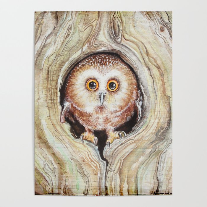 Owly Poster