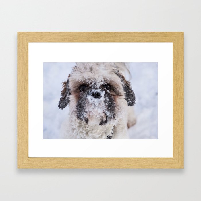 Playing in snow Framed Art Print