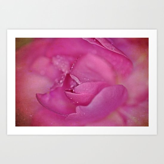 Vintage Rose Bud Art Print
