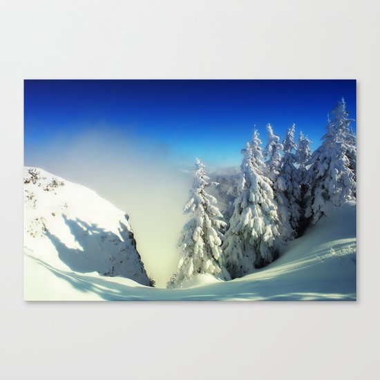 Frozen Top Canvas Print