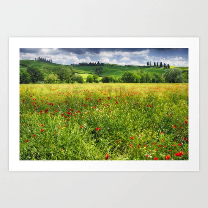 Tuscan Spring Meadow with Poppies Art Print