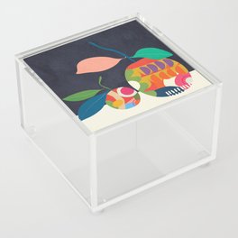 Abstract fruit shapes 03 Acrylic Box