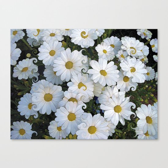 Dreaming Daisies Canvas Print