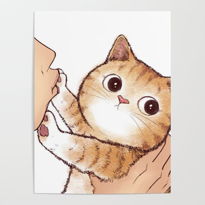 society6