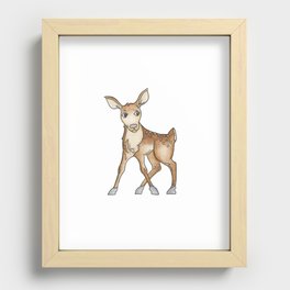 Baby Deer / Fawn Recessed Framed Print