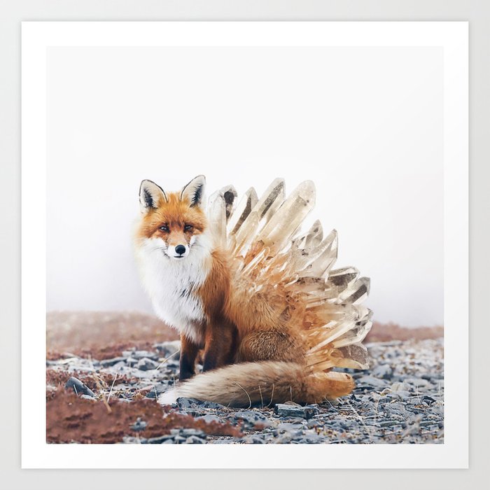 Crystal fox photos