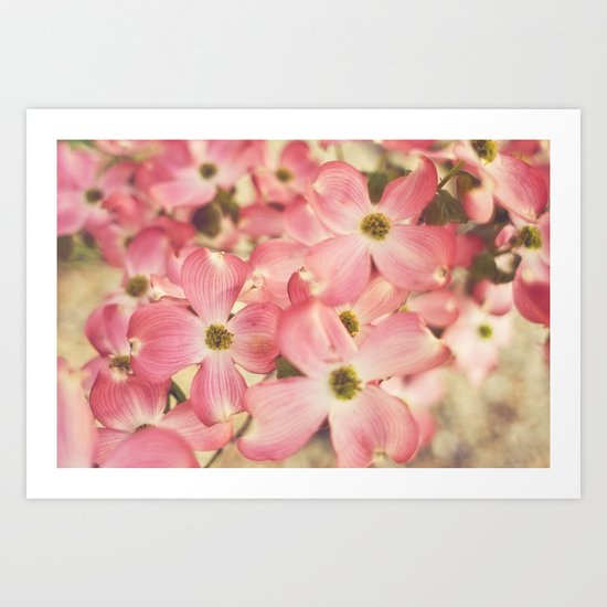 Dogwood Art Print