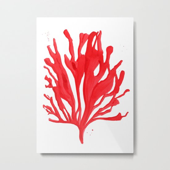 Red Coral no. 2 Metal Print