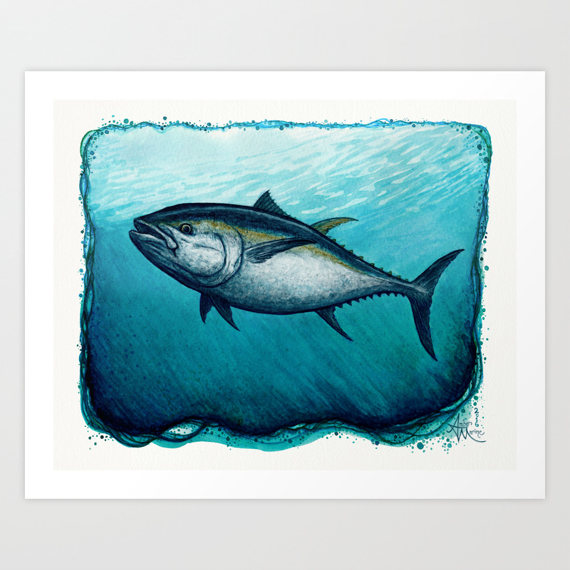 Bluefin Tuna Watercolor Painting By Amber Marine Copyright 2016