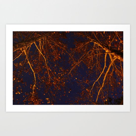through the trees Art Print
