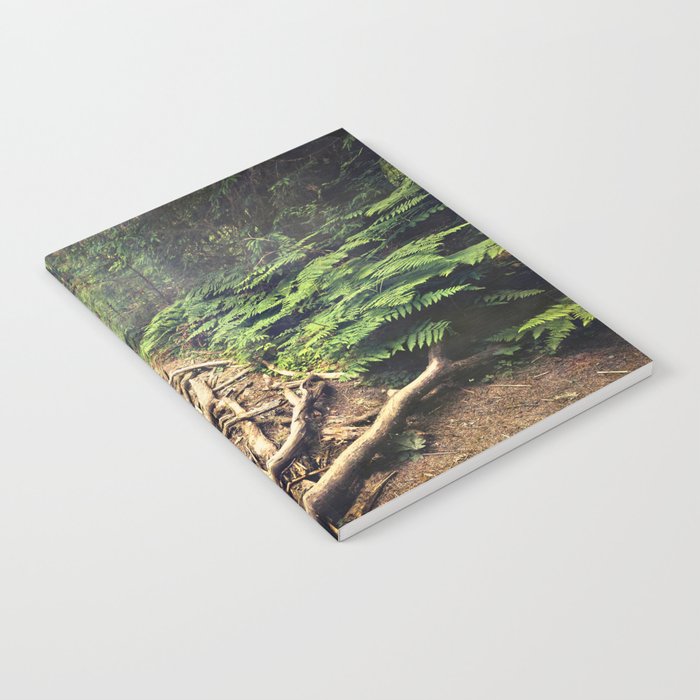 Misty Rainforest Notebook