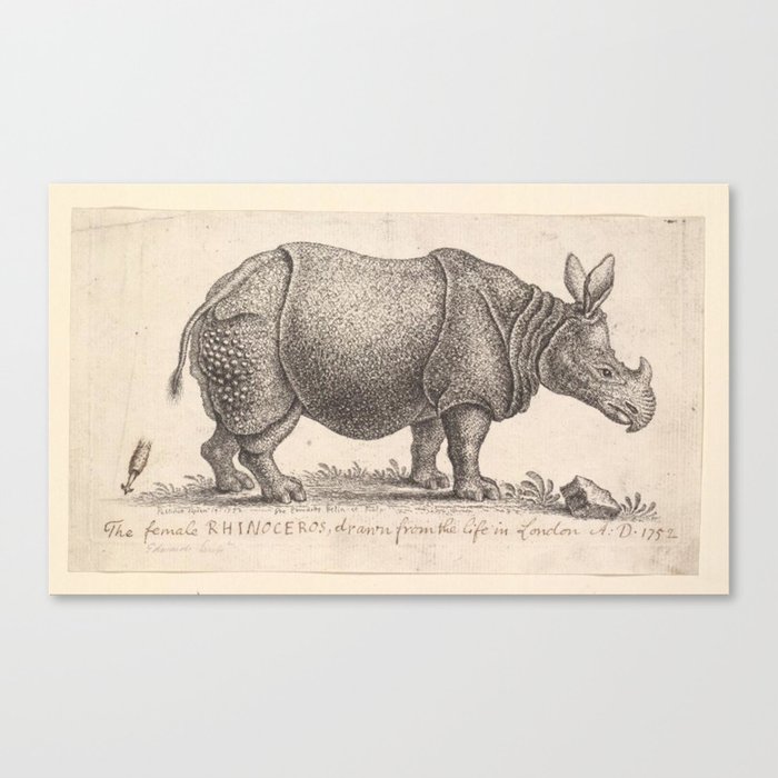 Vintage Rhino Canvas Print