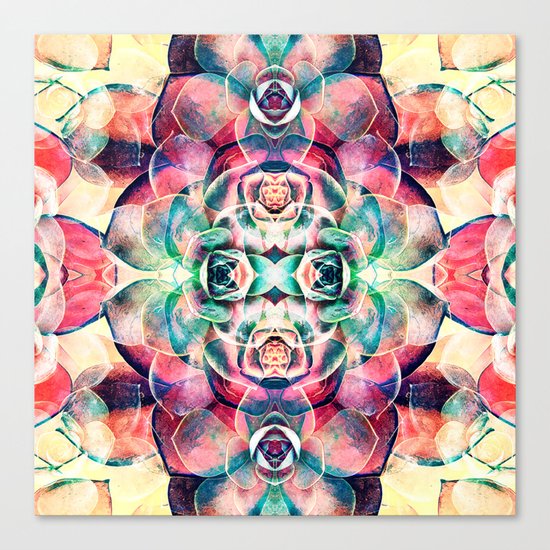 Succulents Abstract Canvas Print
