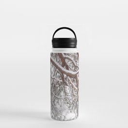 A Winter Scene 2 Water Bottle