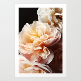 Floribunda #3 - Modern Floral Photograph Art Print