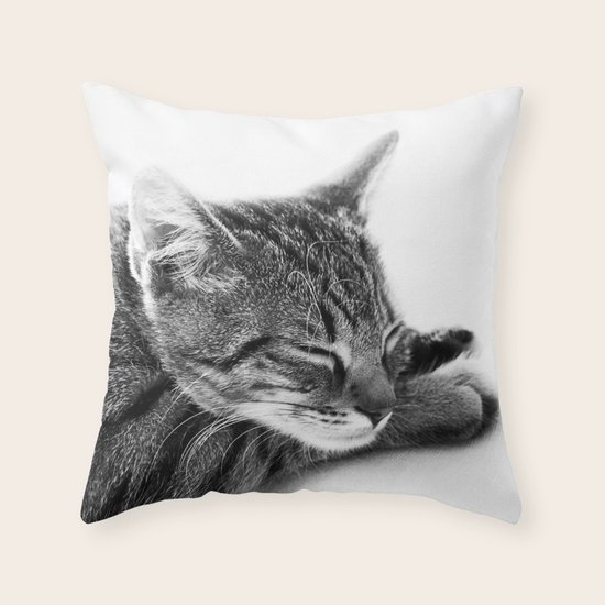 sleeping Throw Pillow
