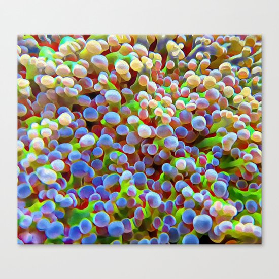 Coral Reef Canvas Print