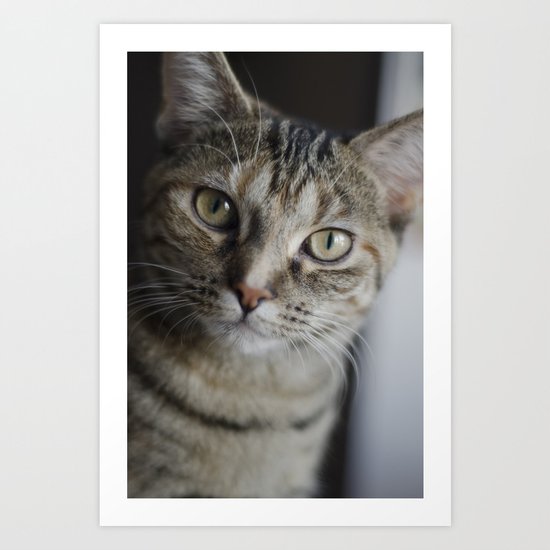 Piccolo the Cat Art Print