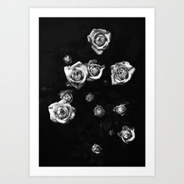 Rose Flower Print - black white Roses - Elegant Floral Roses photography Art Print