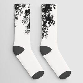 Tall Tree Socks