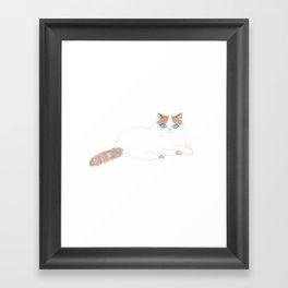 Ragdoll Cat Framed Art Print