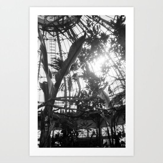 Jurassic Park Art Print