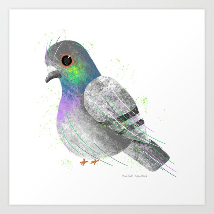 City Pigeon Bird Illustration  Art Print