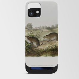 Wilson's Meadow Mouse  from the viviparous quadrupeds of North America (1845) illustrated by John Woodhouse Audubon iPhone Card Case
