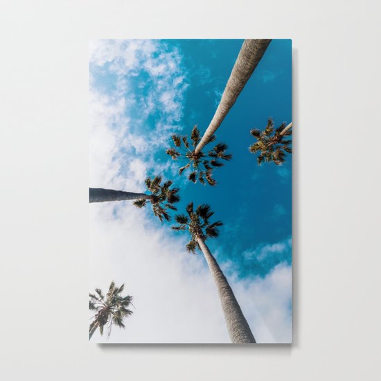 Palm Trees Metal Print