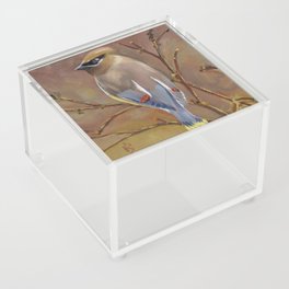 Cedar Wax Wing in Oil Acrylic Box