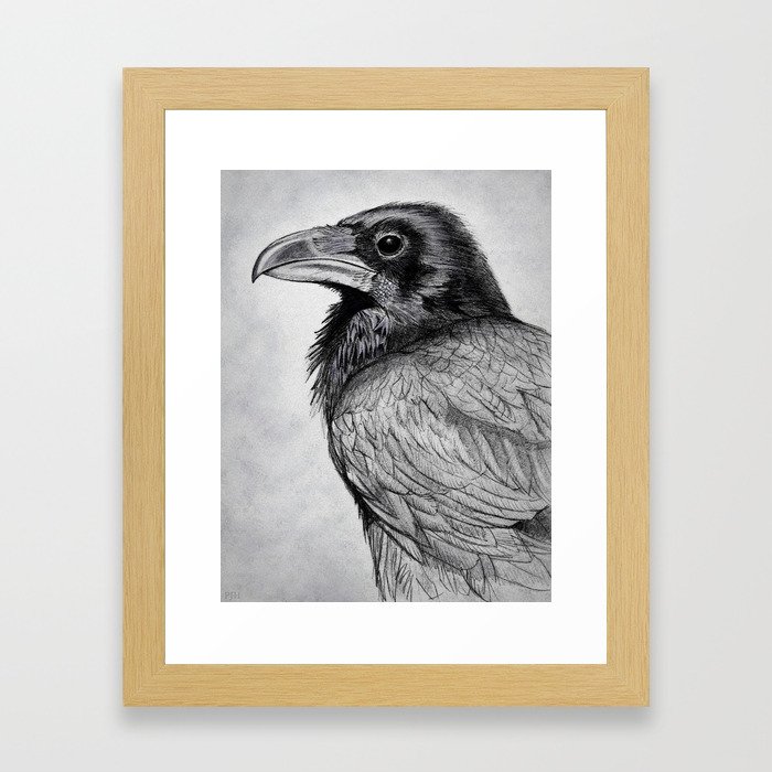 Corvus Corax (The Common Raven) Framed Art Print
