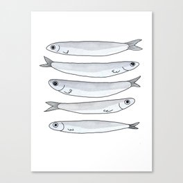 anchovies in my pantry Canvas Print