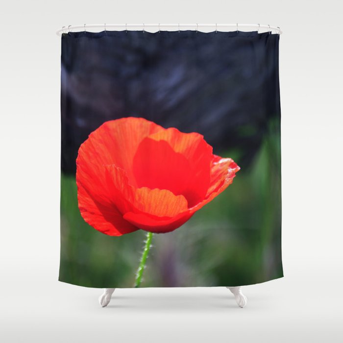Poppy Flower Shower Curtain By Annaki Society6 Poppy Flower Shower Curtain