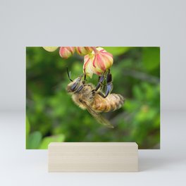 Bee Mini Art Print