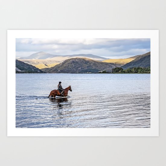 Horse at Airds Bay Loch Etive Art Print