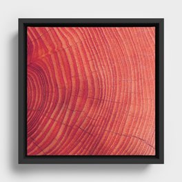 Red wood Framed Canvas