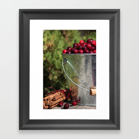 Berries and Spice Framed Art Print