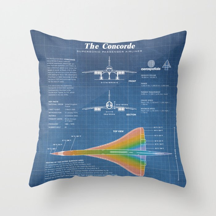 Throw Pillow