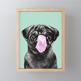 Bubble Gum Popped on Black Pug (3 in series of 3) Framed Mini Art Print