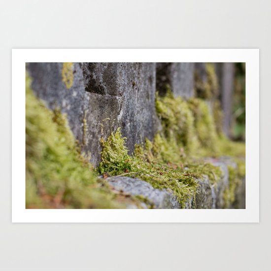 moss Art Print