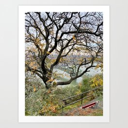 fall on gellert Art Print | Fall, Hungary, Trees, River, Color, Travel, Bridge, Hike, Digital, Foliage 