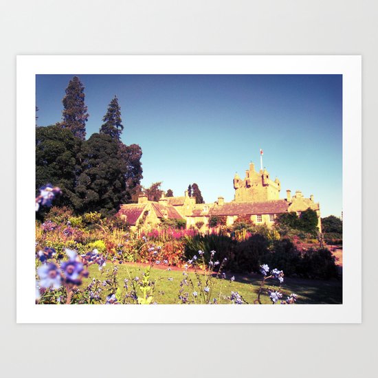 castle flowers. Art Print