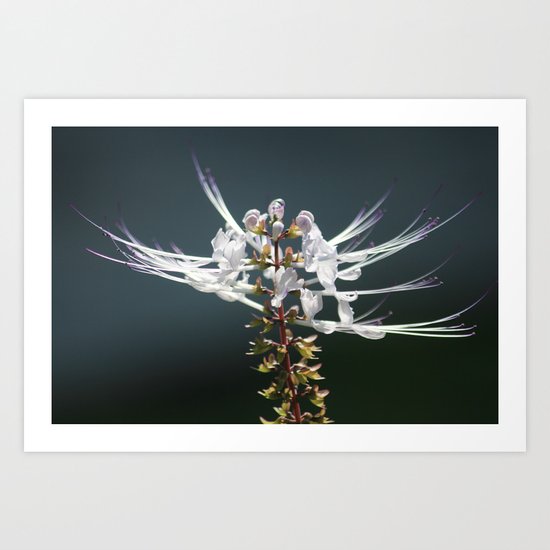 Stretching Out Art Print