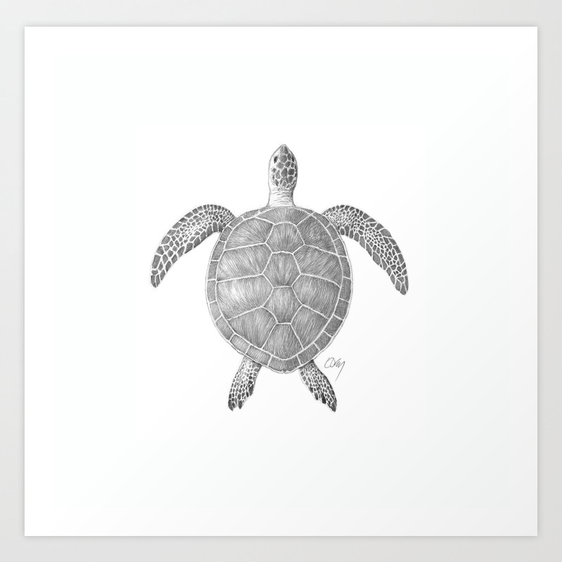 Sea Turtle Pencil Drawing Art Print By Deycorstudio Society6